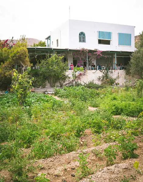 Anafi : Une journée à la Taverna Papadia au bord de la mer 2 Anafi : Une journée à la Taverna Papadia au bord de la mer - Anafi : Une journée à la Taverna Papadia au bord de la mer