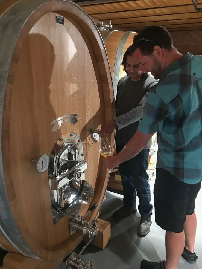 Île de Céphalonie, Grèce : Guide de voyage de 5 jours 10 voyage à kefalonia grèce vignoble sklavos