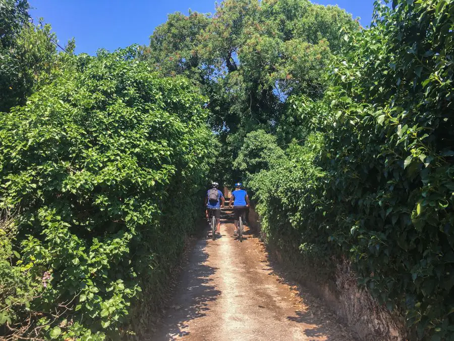 voyage à kampos chios grèce sentiers de chèvres vélo de montagne