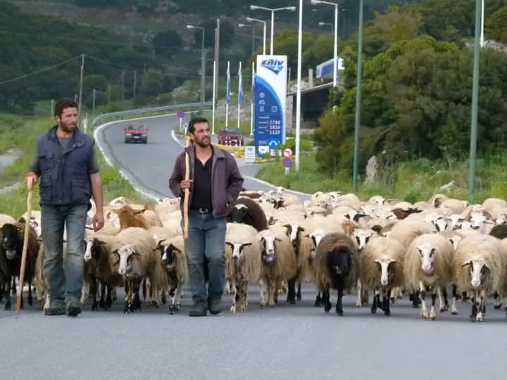 bergerie grèce
