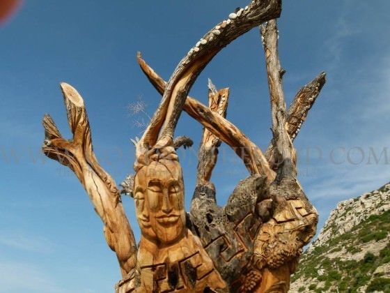 Croisière en Crète d'un océan à l'autre 13 Un art d'arbre étonnant ! Matala, Crète, Grèce.