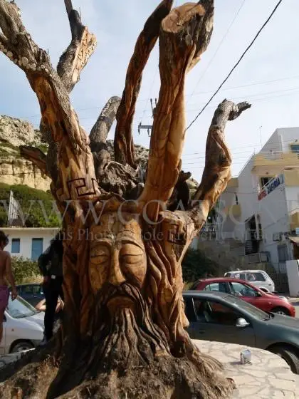 Croisière en Crète d'un océan à l'autre 14 art d'arbre détaillé