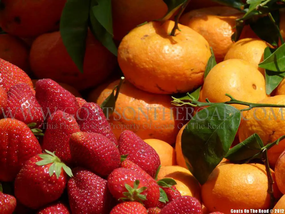 Fruits vibrants en vente au marché d'Athènes, Grèce sac à dos Grèce
