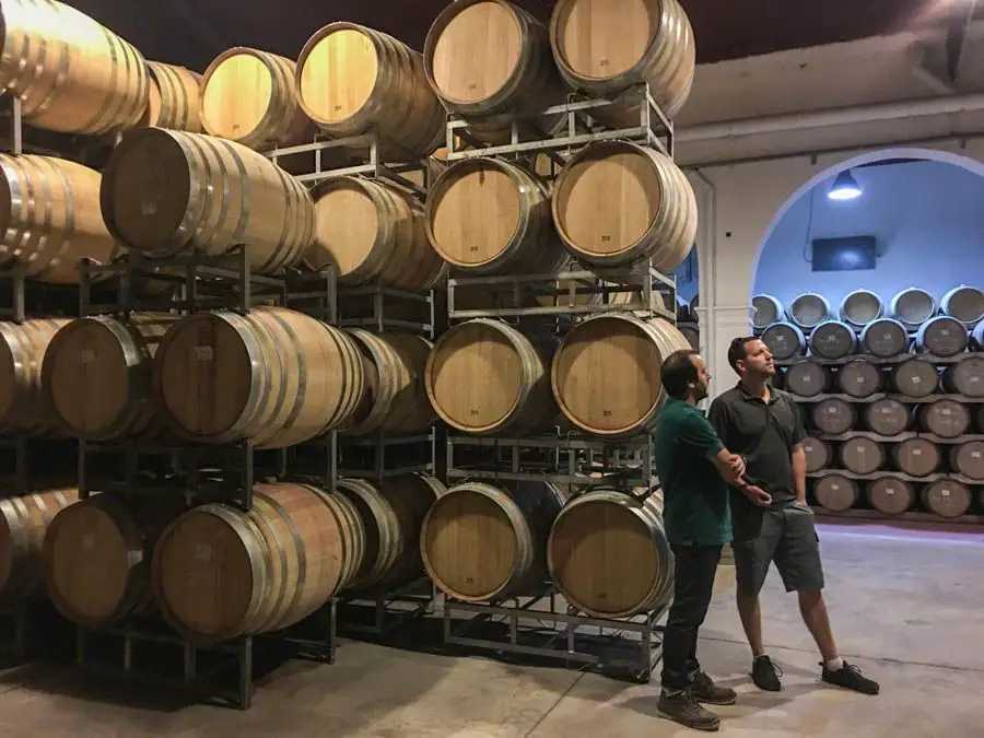 bodega el esteco cafayate argentine