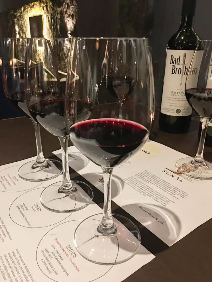 voyage à cafayate argentine bad brothers wine bar