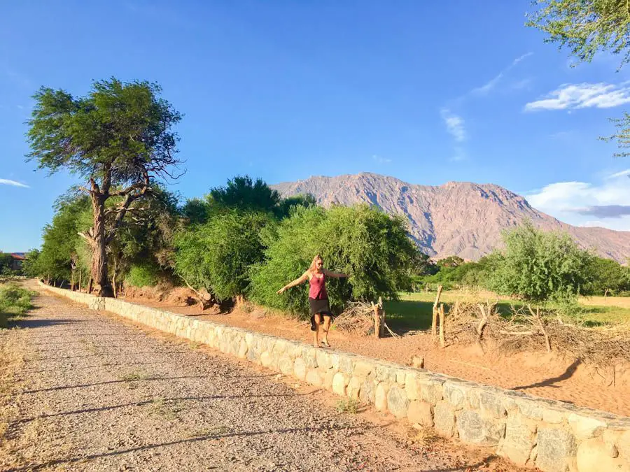 visite cafayate argentine région viticole casa de la bodega