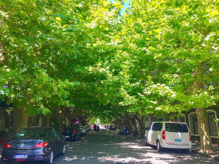 voyage de buenos aires à colonia uruguay