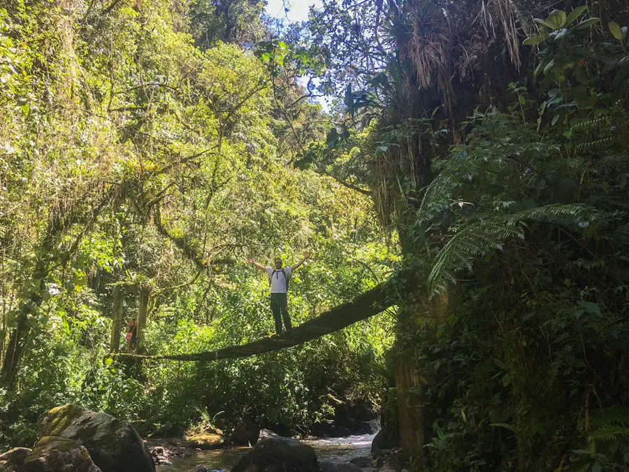 voyage dans le salento colombie randonnée dans la vallée de cocora