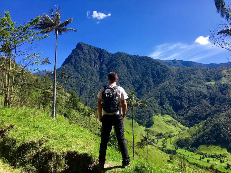 voyage dans le salento colombie randonnée dans la valle de cocora