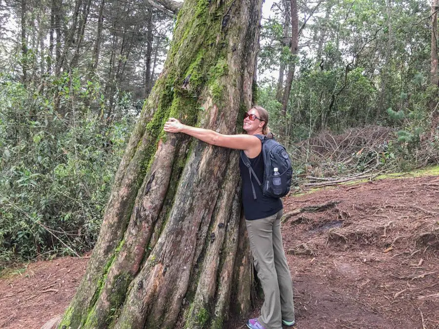 Voyager à Medellin, Colombie : Nos premières impressions et expériences 12 randonnée dans le parc arvi de medellin