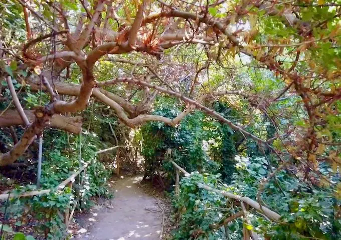 20 activités et lieux à faire à Paros, Grèce 19 Un sentier dans la vallée des papillons à Paros