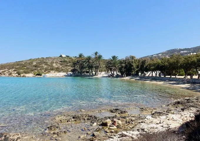 Les 12 plus belles plages de Paros 12 Agia Irini (Palm Beach) à Paros, Grèce
