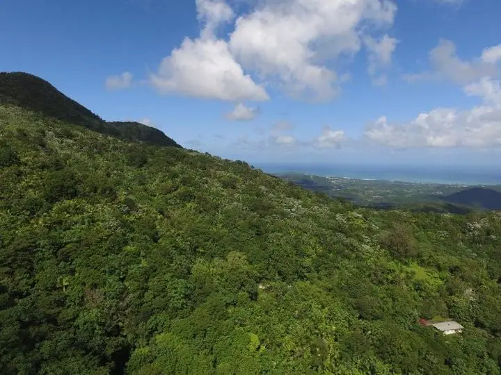 el yunque puerto rico