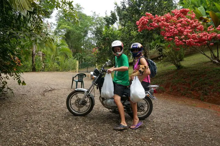 garde d'animaux au costa rica