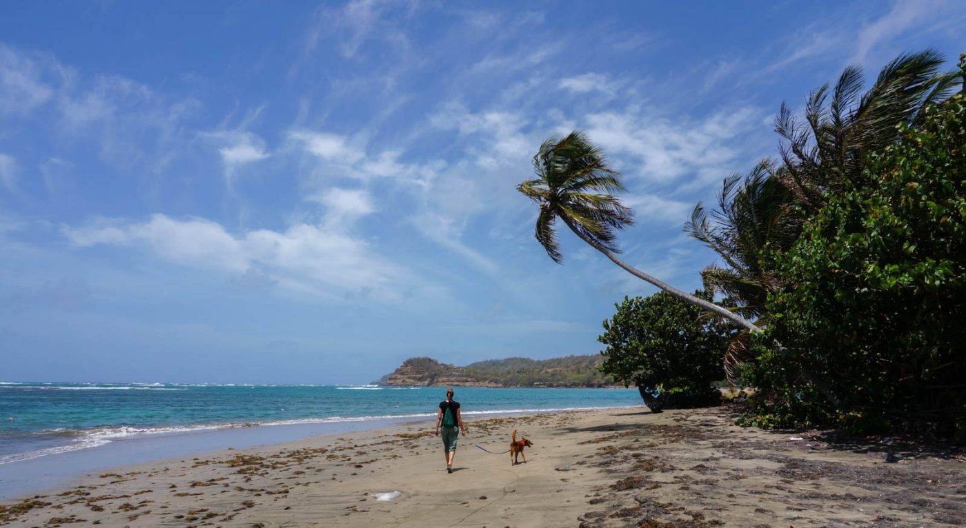 5 mois de vie dans les Caraïbes - La Grenade en photos - 5 mois de vie dans les Caraïbes - La Grenade en photos