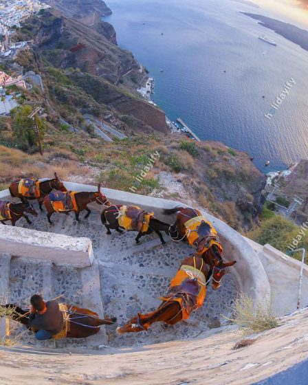 Choses à faire à Santorin : villages, activités, sports... 8 Choses à faire à Santorin : villages, activités, sports... - Choses à faire à Santorin : villages, activités, sports...