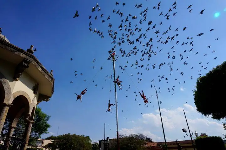 Découverte de Guadalajara, Mexique - Mariachis, musées et marchés ! 4 danza de los voladores à guadalajara