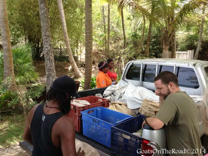 Vivre à la Grenade : Notre vie en photos 29 achat de fruits à grenade