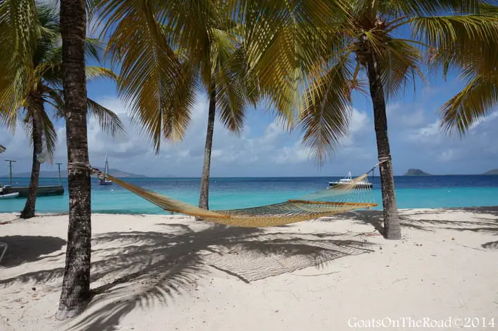 Les Tobago Cays - Une journée parfaite de navigation dans les Caraïbes 2 Palm Island Resort