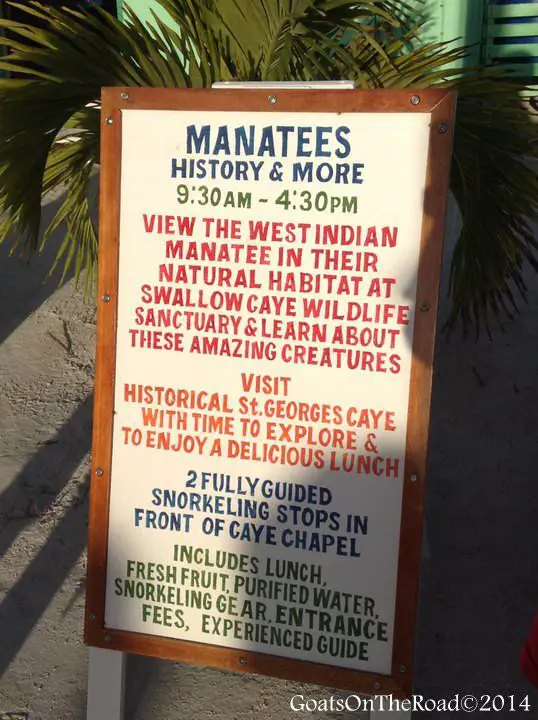 Aventures au Belize - À la recherche de l'insaisissable lamantin 7 ez boy tours manatee