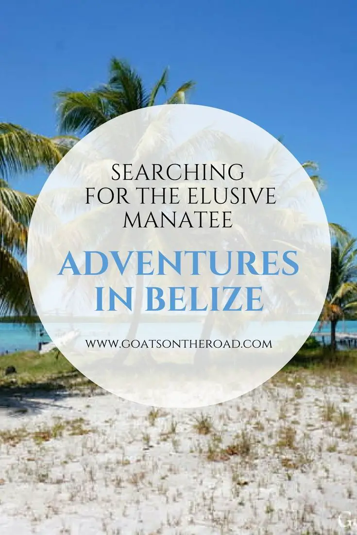 Aventures au Belize - A la recherche de l'insaisissable lamantin