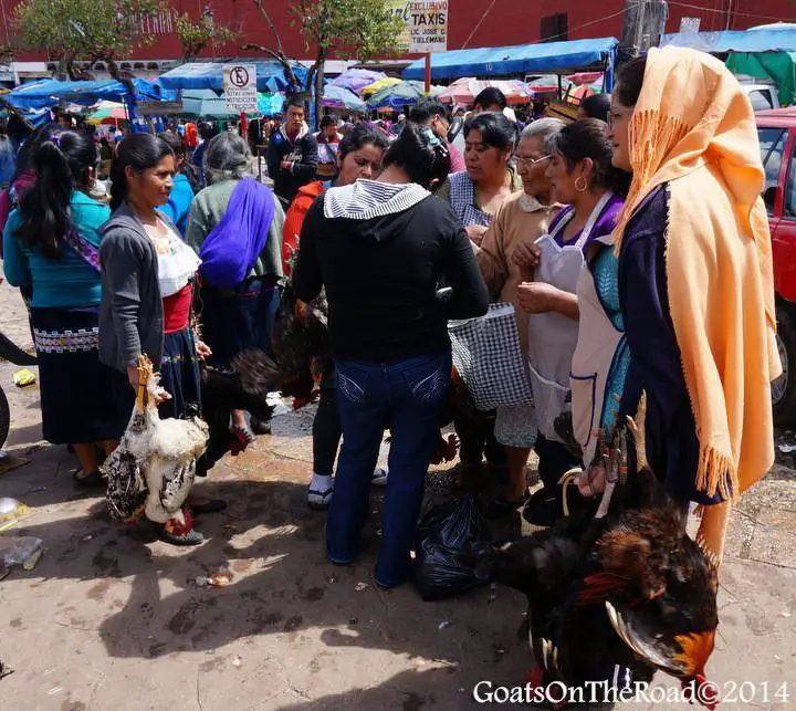 San Cristobal de las Casas : la ville coloniale la plus cool du Mexique 8 marché de san cristobal de las casas