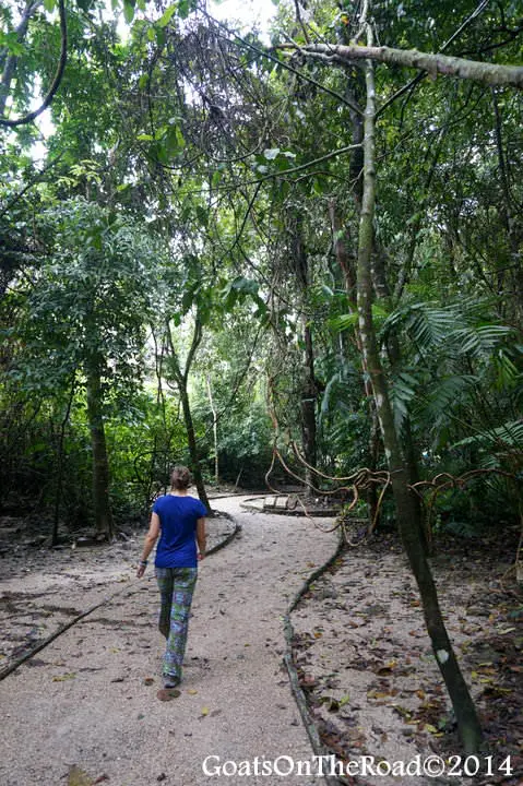 Les anciennes ruines de la jungle de Palenque, au Mexique 5 ruines de palenque