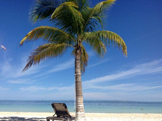 Voyager à Cancun : Il y en a pour tous les goûts 2 plage de cancun