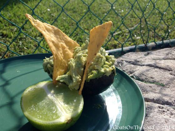 Voyager à Cancun : Il y en a pour tous les goûts 6 guacamole au mexique
