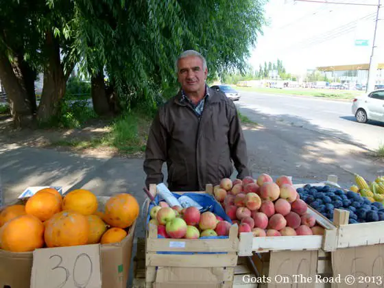 Traverser la Russie à toute allure - Un bilan de 8 jours 14 vendeur de fruits