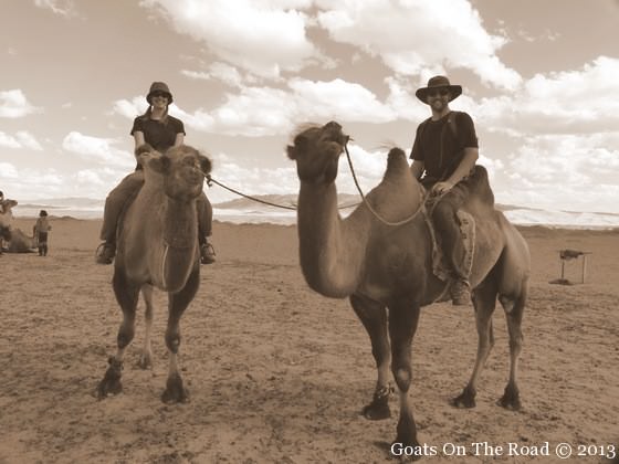 balade en chameau en mongolie