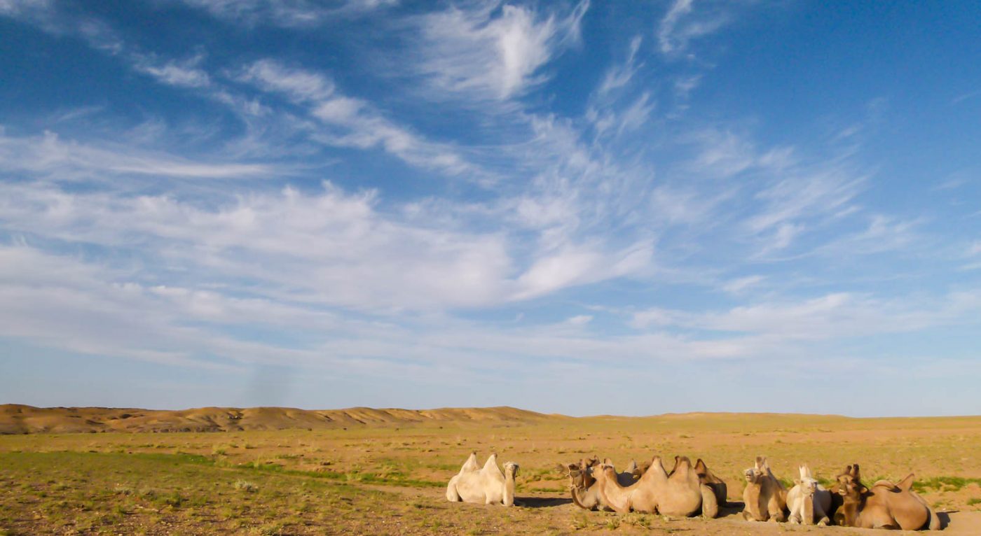Notre circuit de 6 jours : Du bon temps dans le désert de Gobi, partie 1 1 Notre circuit de 6 jours : Du bon temps dans le désert de Gobi, partie 1 - Notre circuit de 6 jours : Du bon temps dans le désert de Gobi, partie 1