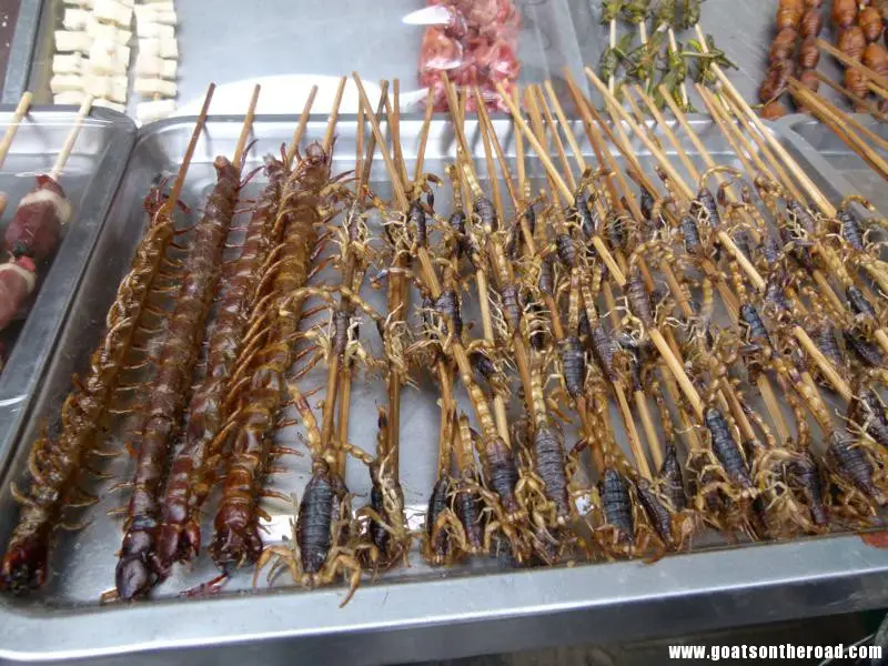 mmm, des scorpions et des mille-pattes délicieux pour un barbecue dans la rue. Couple de voyageurs à petit budget à Pékin