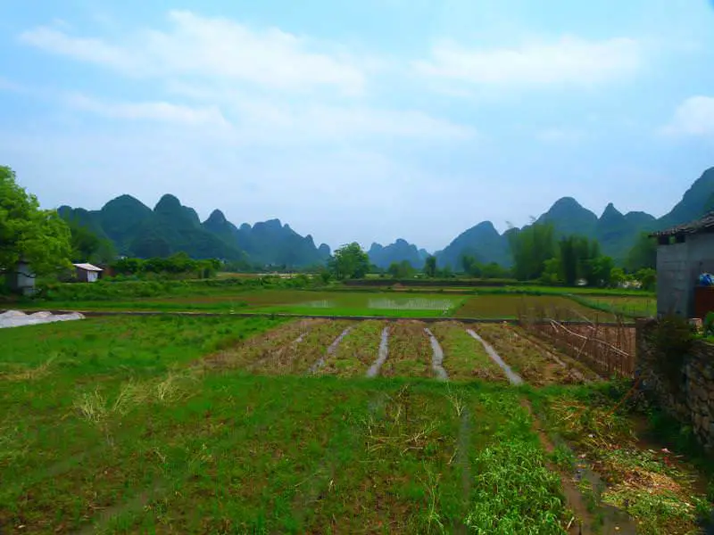 beautiful rice paddies and karsts in the distance Yangshuo - Nous sommes enfin en Chine ! - Yangshuo - Nous sommes enfin en Chine !