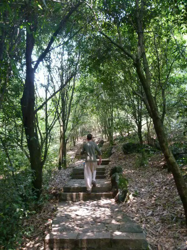 Nick starting the very humid hike up to the top of Moon Hill Yangshuo - Nous sommes enfin en Chine ! - Yangshuo - Nous sommes enfin en Chine !