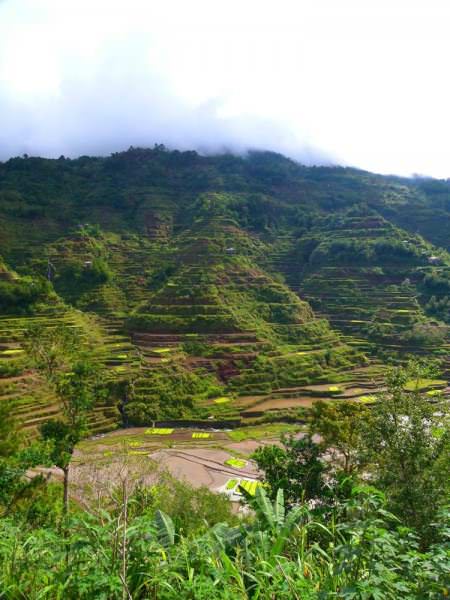 Stunning View Of The Banaue Rice Terraces Banaue - Impossible de parcourir les terrasses sous une pluie torrentielle ! - Banaue - Impossible de parcourir les terrasses sous une pluie torrentielle !