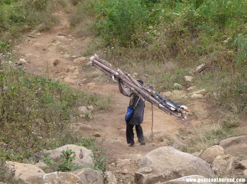 man carrying a very heavy load of wood on his head, Zomba Plateau, Malawi Zomba, Cape Maclear et Monkey Bay - Zomba, Cape Maclear et Monkey Bay