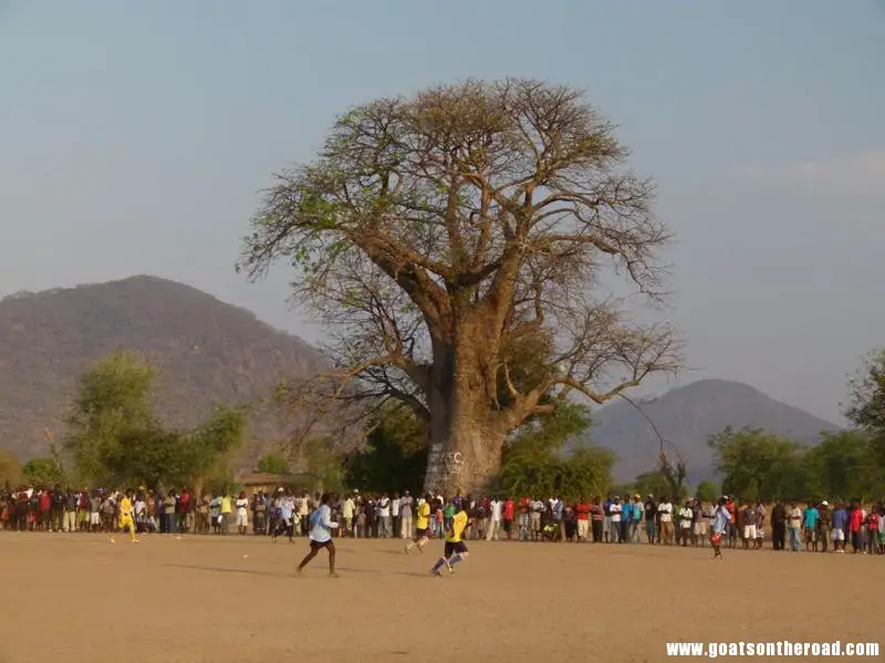 football match under the baobab tree, Cape Maclear, Malawi Zomba, Cape Maclear et Monkey Bay - Zomba, Cape Maclear et Monkey Bay
