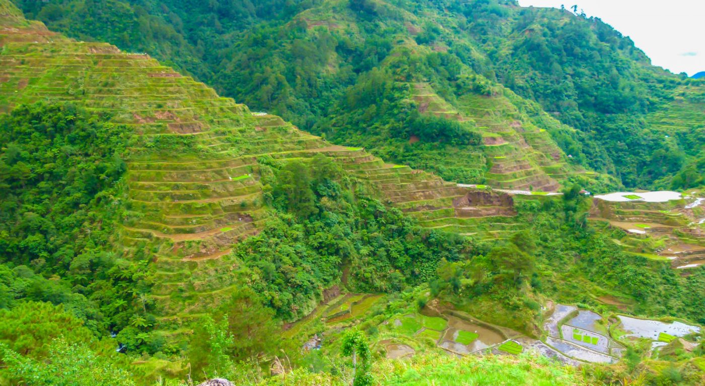 Banaue - Impossible de parcourir les terrasses sous une pluie torrentielle ! 1 Banaue - Impossible de parcourir les terrasses sous une pluie torrentielle ! - Banaue - Impossible de parcourir les terrasses sous une pluie torrentielle !