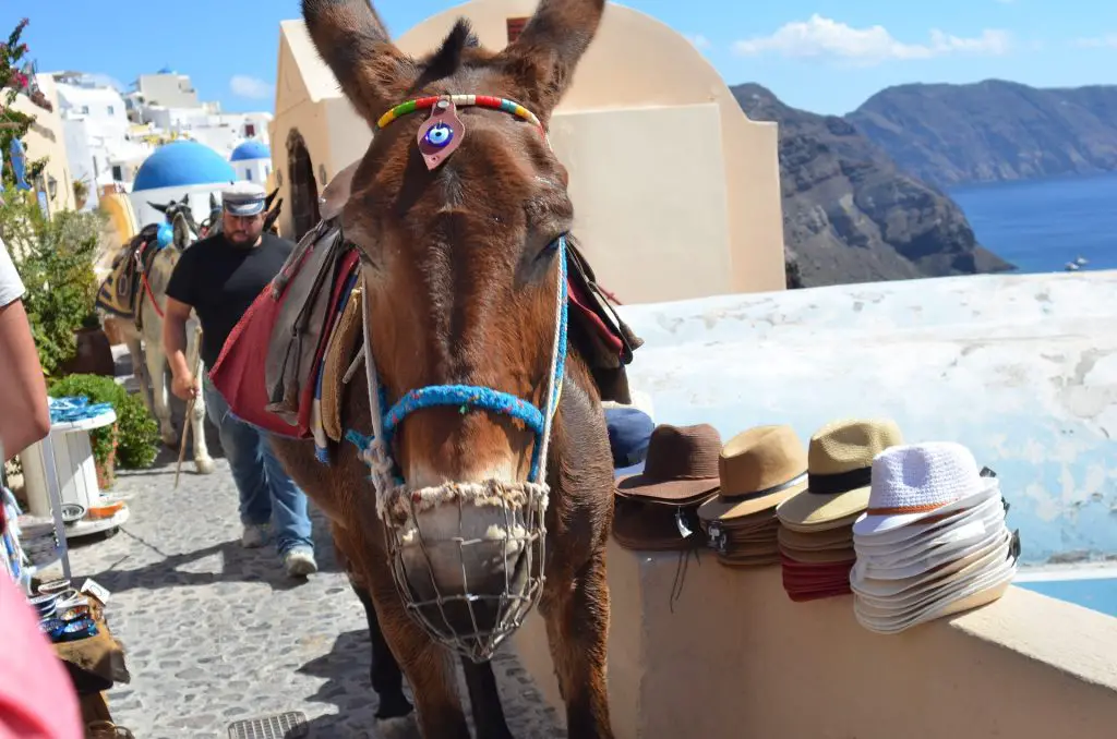 Choses à faire à Santorin : villages, activités, sports... 10 Choses à faire à Santorin : villages, activités, sports... - Choses à faire à Santorin : villages, activités, sports...