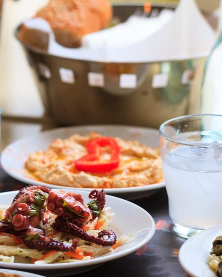 Les plats grecs et les meilleurs endroits pour manger à l'île de Rhodes - Les plats grecs et les meilleurs endroits pour manger à l'île de Rhodes
