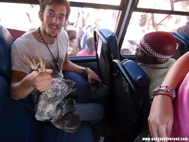 Henrik's new friend, Henny. Bus ride from Nampula to Pemba De Pemba à l'île d'Ibo, Mozambique - Quand Henny rencontre Henrik - De Pemba à l'île d'Ibo, Mozambique - Quand Henny rencontre Henrik