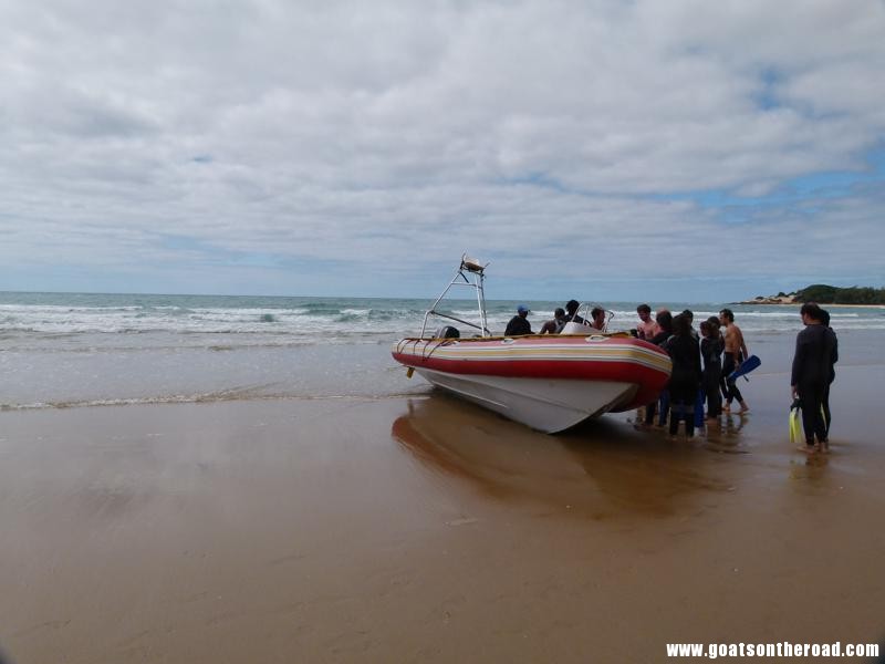 Tofo, Mozambique - La plongée la plus mémorable jusqu'à présent - Tofo, Mozambique - La plongée la plus mémorable jusqu'à présent