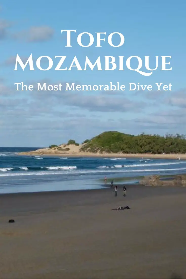 Tofo, Mozambique - La plongée la plus mémorable jusqu'à présent