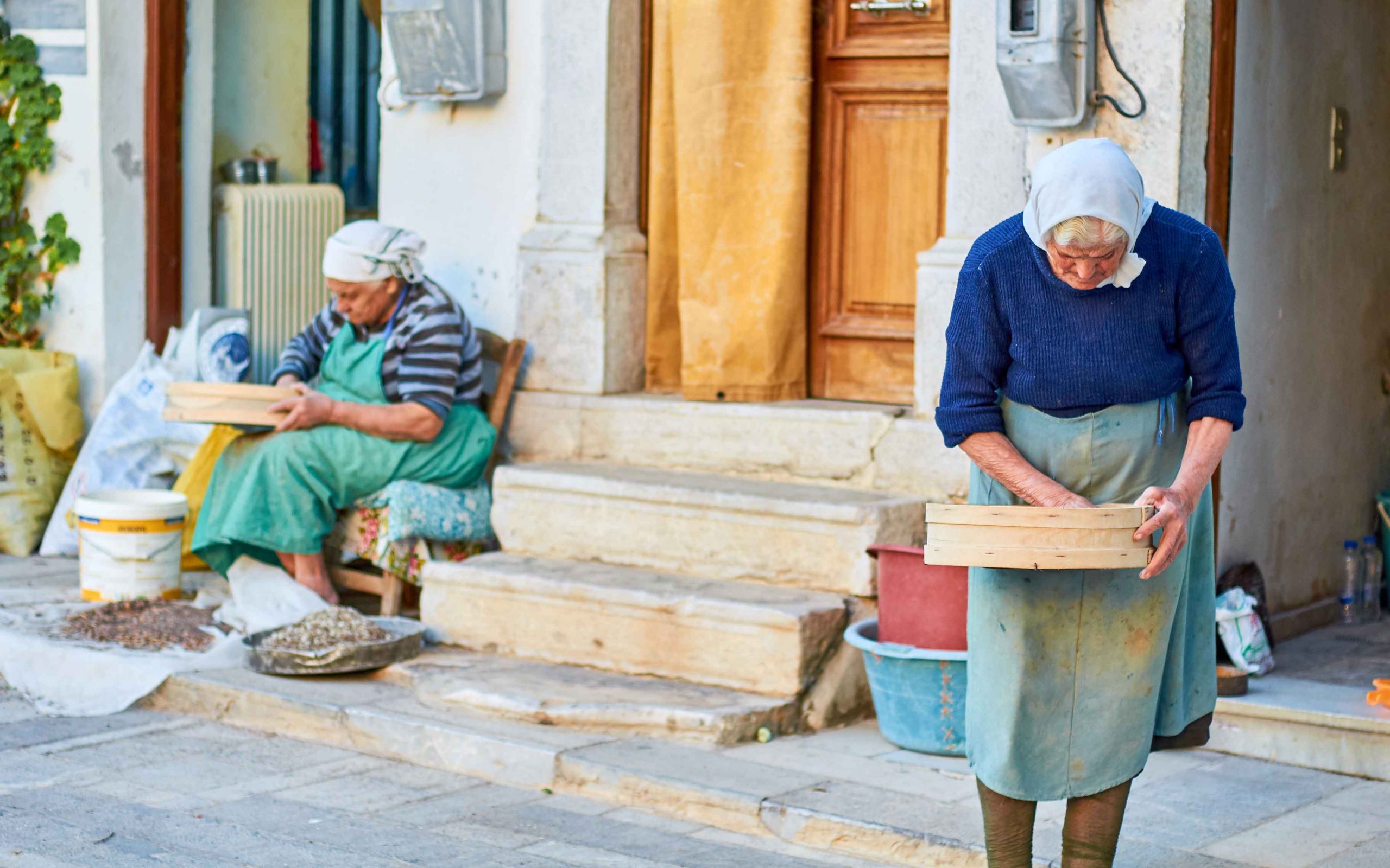 Agritourisme à Chios - Notre journée en tant que producteurs de mastic 9 Agritourisme à Chios - Notre journée en tant que producteurs de mastic - Agritourisme à Chios - Notre journée en tant que producteurs de mastic