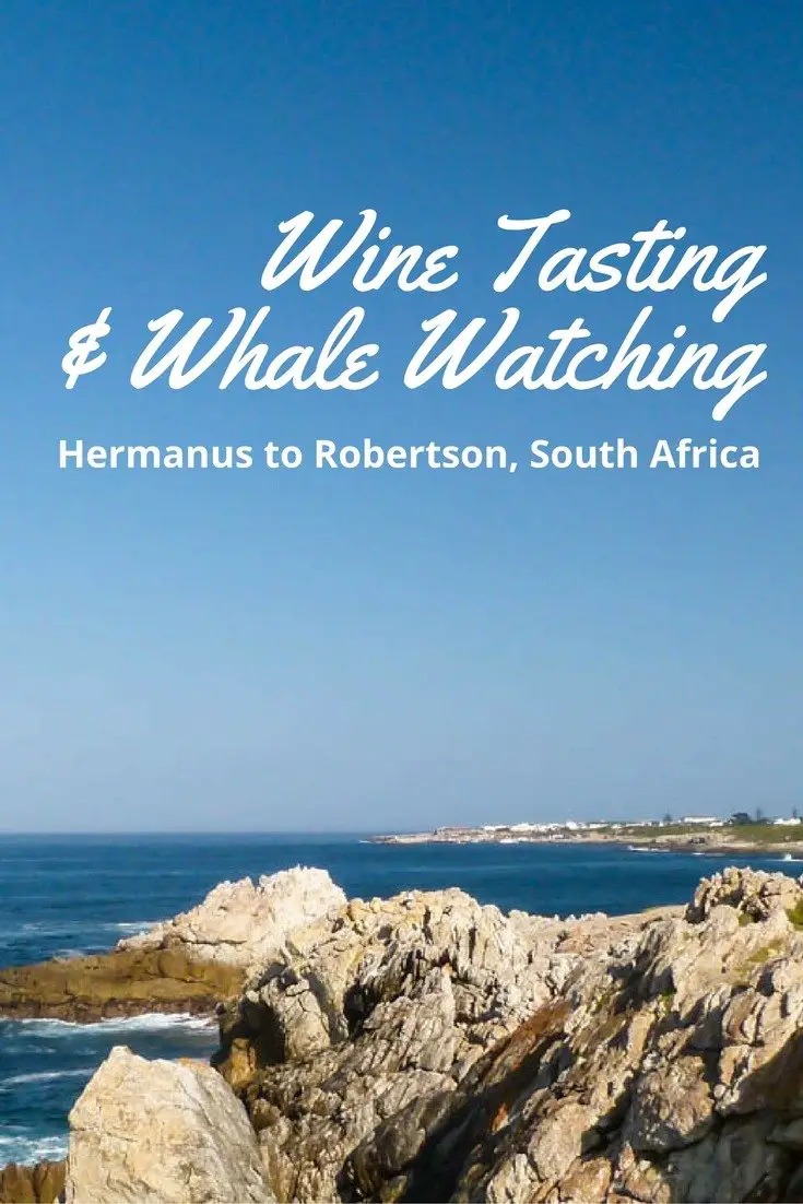 Hermanus à Robertson, Afrique du Sud - Dégustation de vins et observation des baleines
