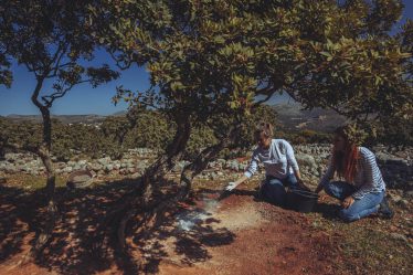 Agritourisme à Chios - Notre journée en tant que producteurs de mastic - Agritourisme à Chios - Notre journée en tant que producteurs de mastic