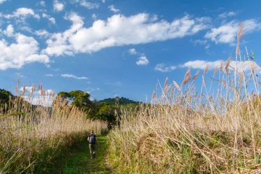 Voyager vers Wilderness et Jeffreys Bay, Afrique du Sud - Voyager vers Wilderness et Jeffreys Bay, Afrique du Sud