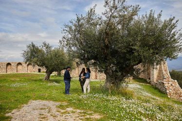 Tourisme oléicole : Une nouvelle tendance de voyage en Grèce est née - Tourisme oléicole : Une nouvelle tendance de voyage en Grèce est née