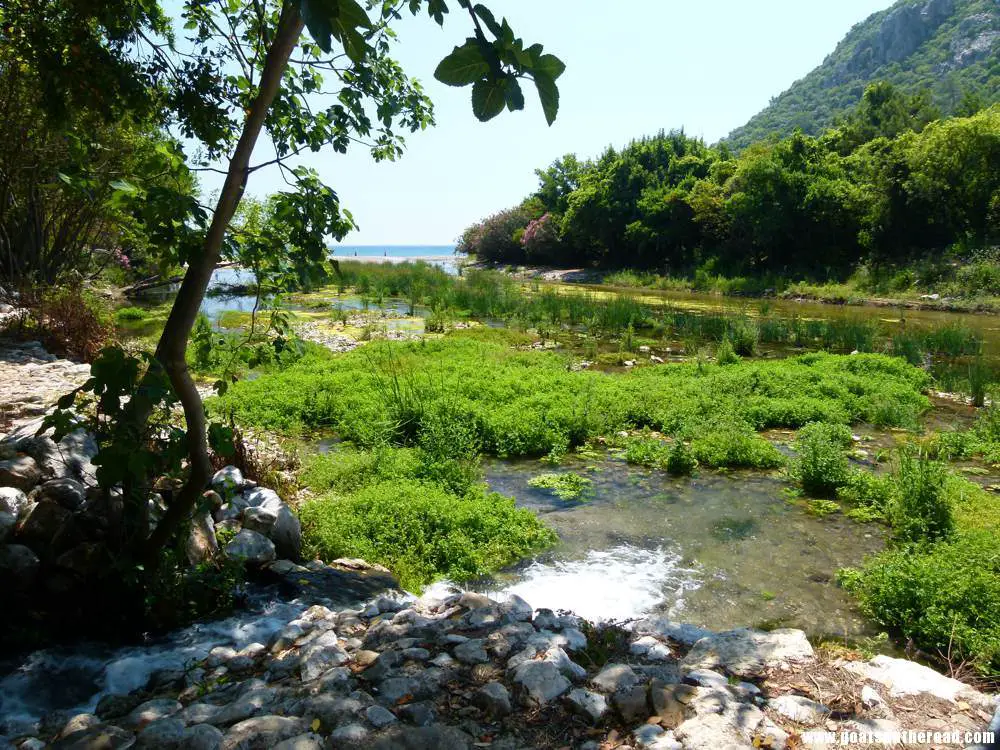 marais sur notre promenade vers la plage, Olympos, Turquie